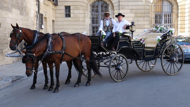 Provencale cowboys