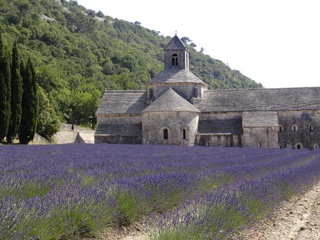 Abbey of Senanque