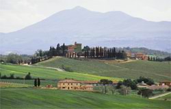 View from the strada de vino