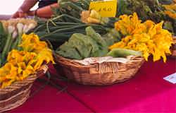 Zuccini flowers so colourful and delicious