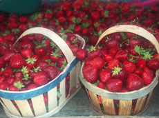 Fraises fresh en marche